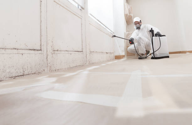 24/7 Emergency Crawl Space Mold Removal experts in Atlanta, TX